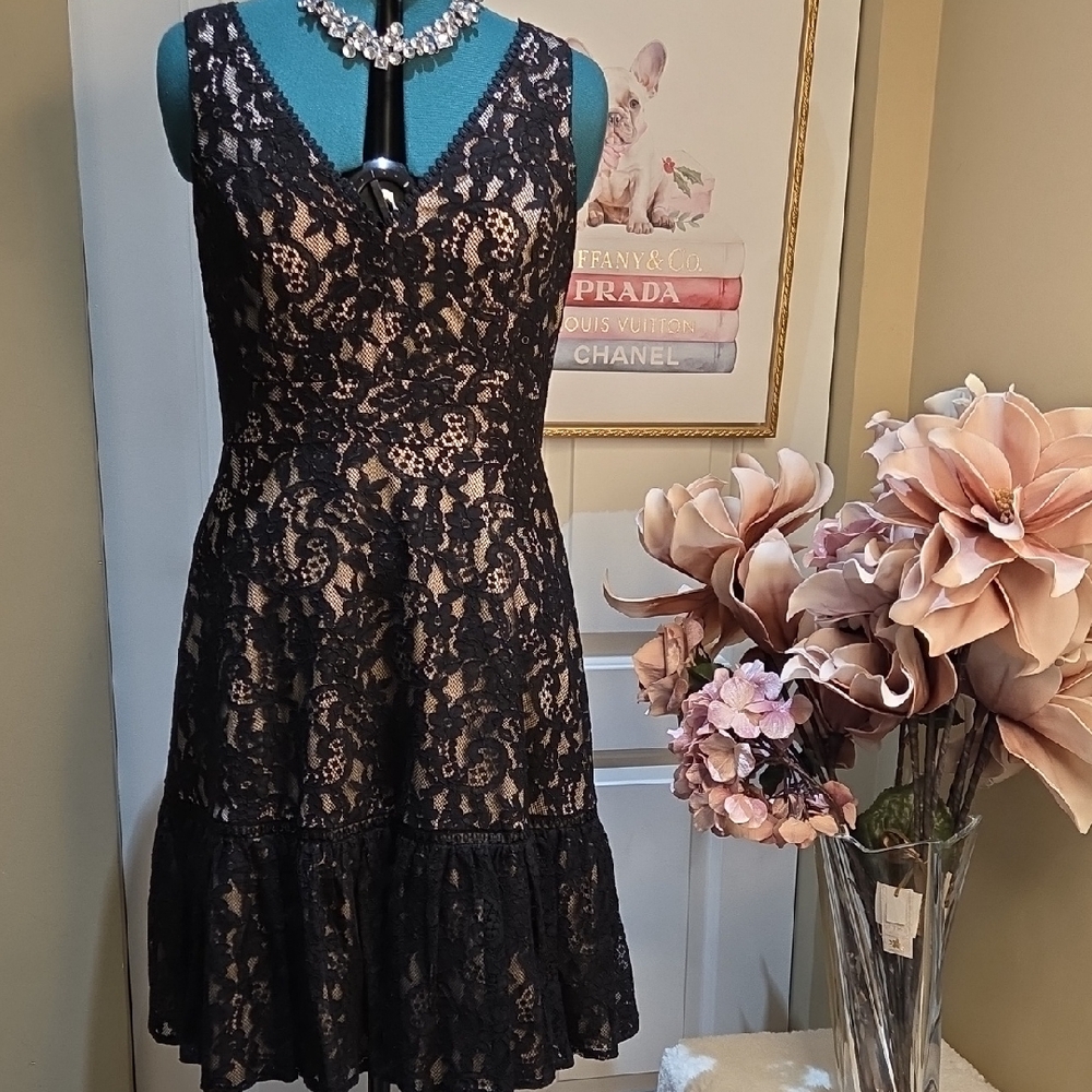 Nwot 10 Eliza J Black and Cream Lace Midi Dress With Pockets